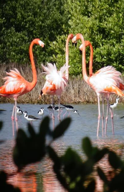 Naturaleza